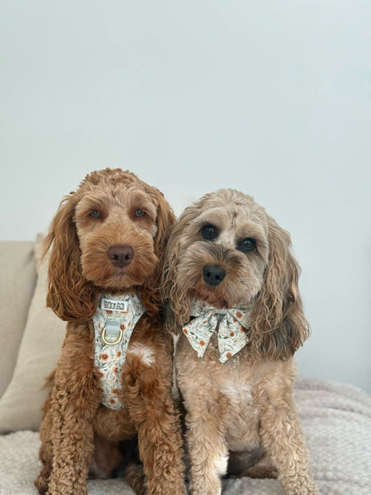 Golden Groves - Sailor Bow