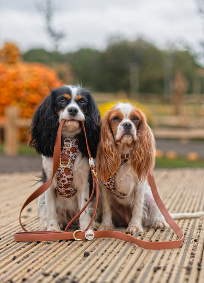 Toasted Brown - Waterproof Lead