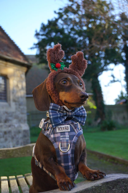 Frosted Flannel - Adventure Addition