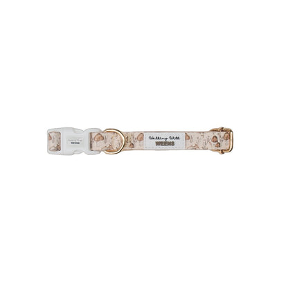Sepia Shrooms - Collar