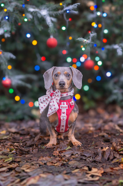 Classic Crimson - Adventure Addition