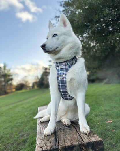 Frosted Flannel - Adventure Addition