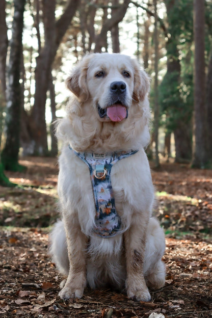 Pinewood Peaks - Adventure Addition