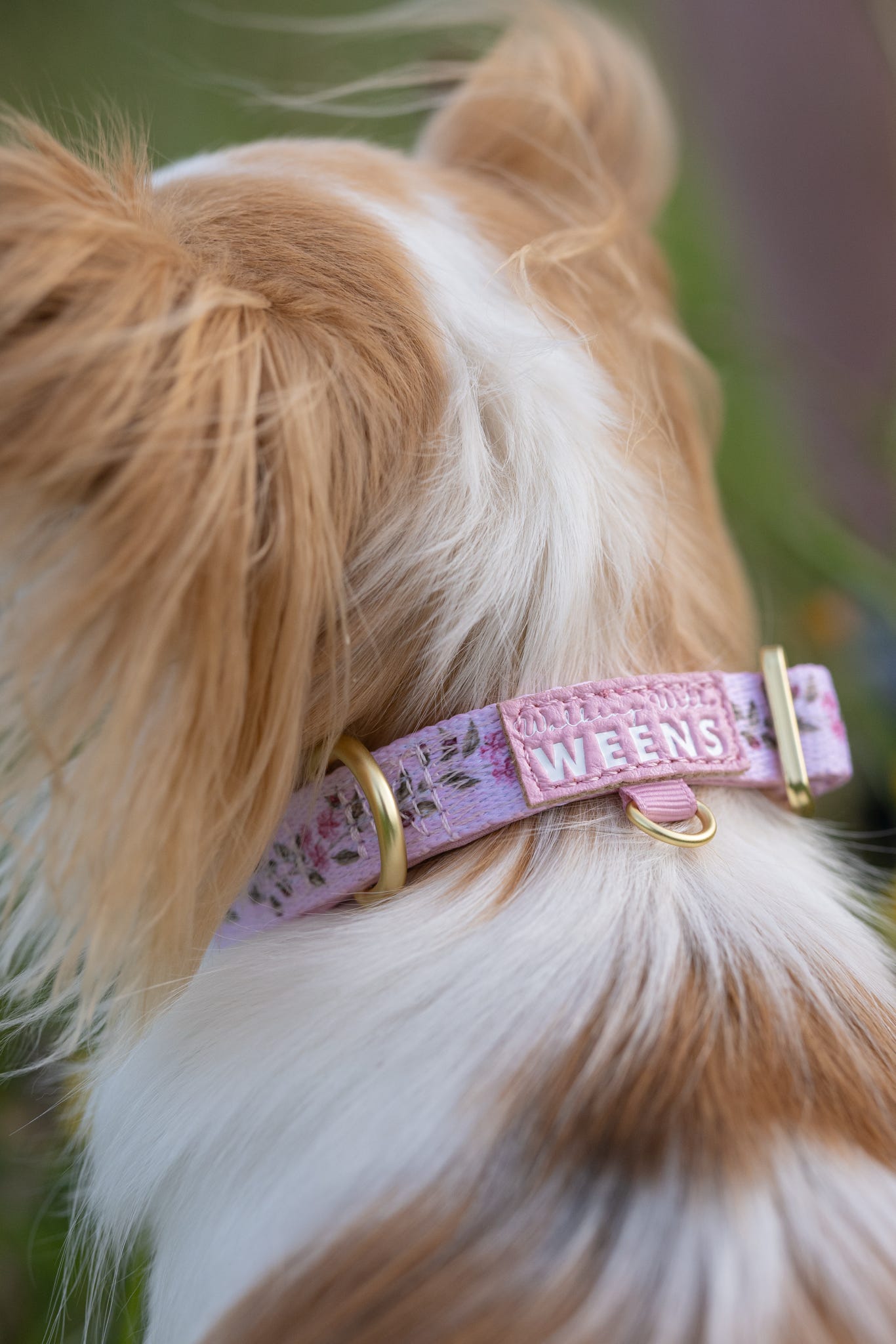 Blossom Bay - Collar