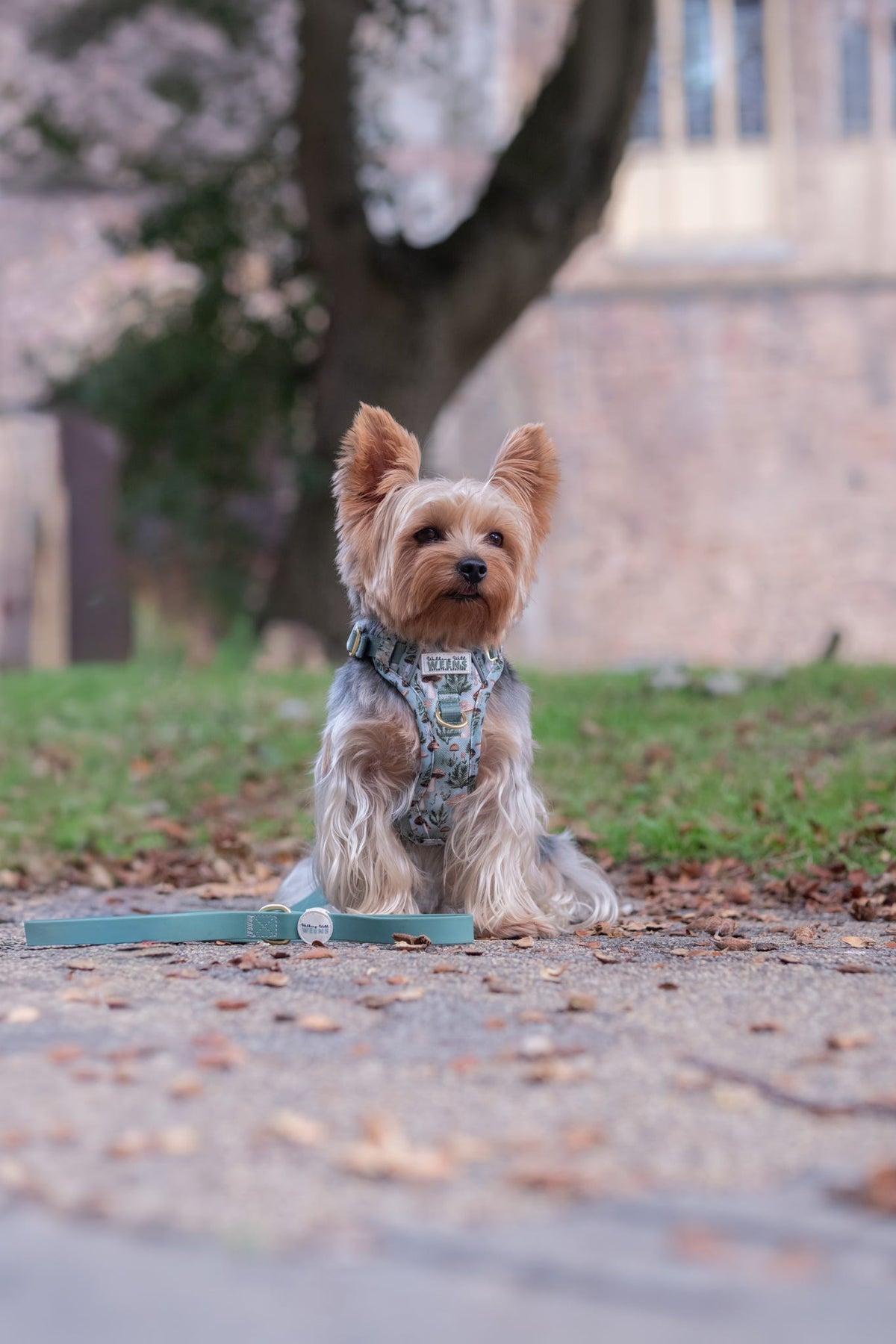 Fern Green - Waterproof Lead