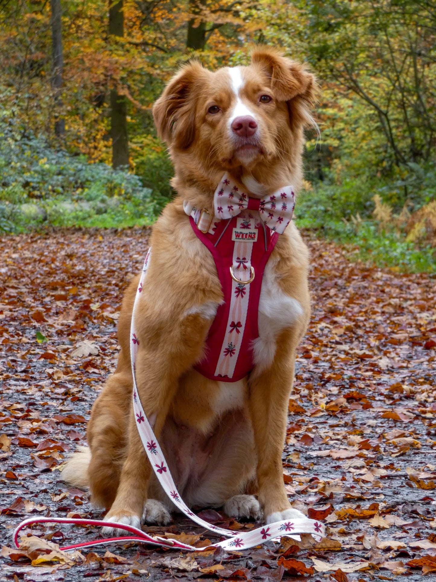 Classic Crimson - Adventure Addition