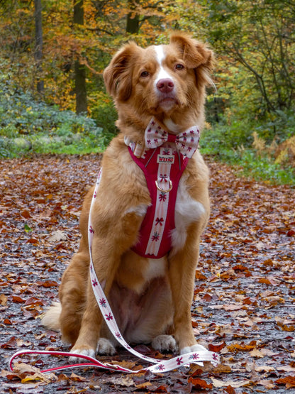 Classic Crimson - Adventure Addition