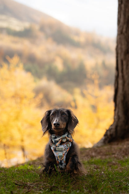 Pinewood Peaks - Adventure Addition