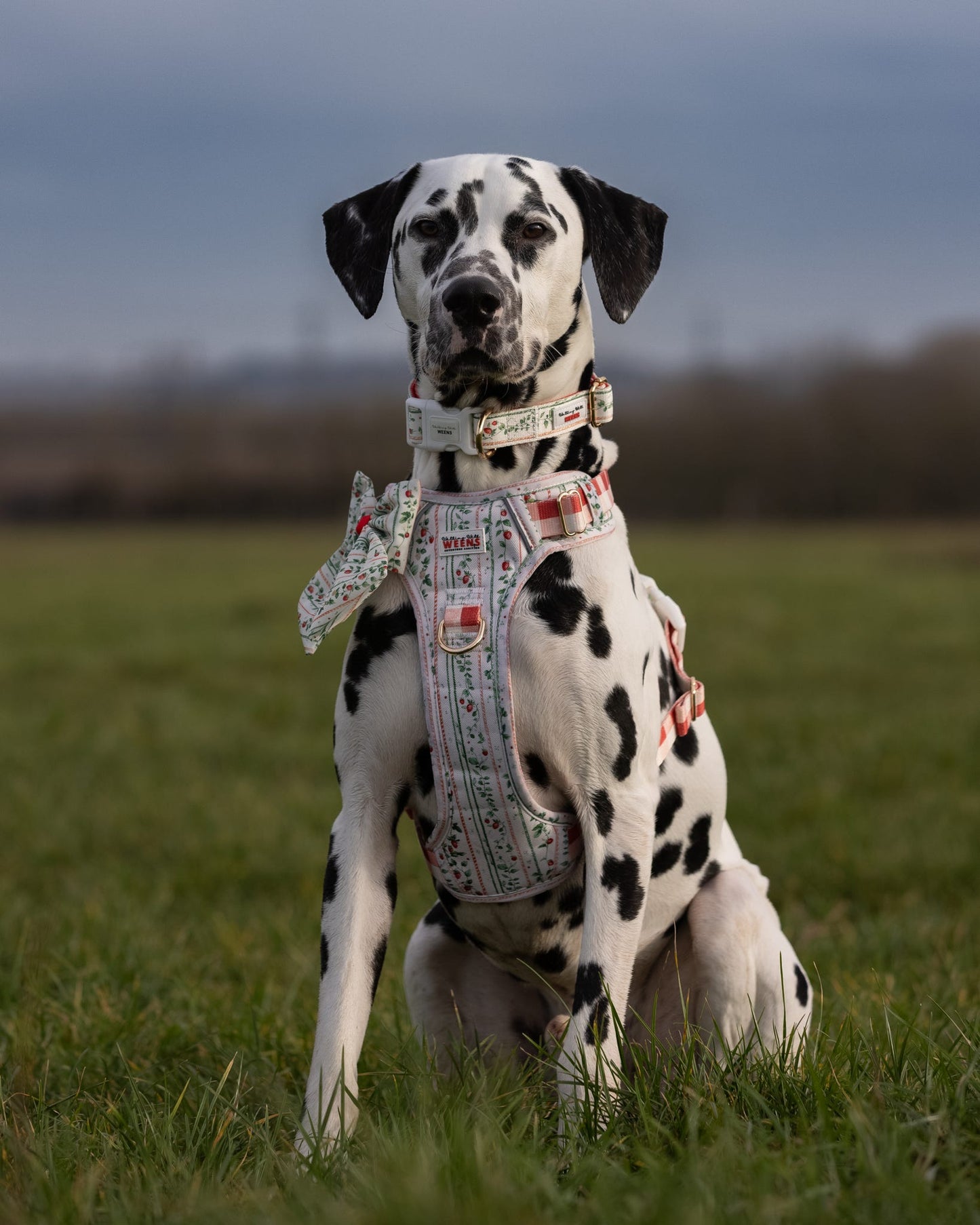 Berries and Bloom - Adventure Addition (See description)