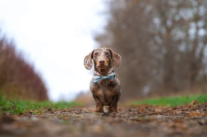 Pinewood Peaks - Bow Tie