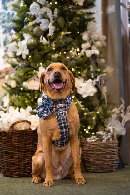 Frosted Flannel - Adventure Addition