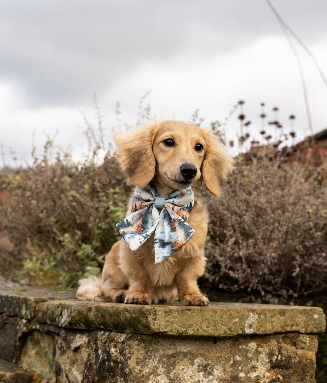 Pinewood Peaks - Sailor Bow