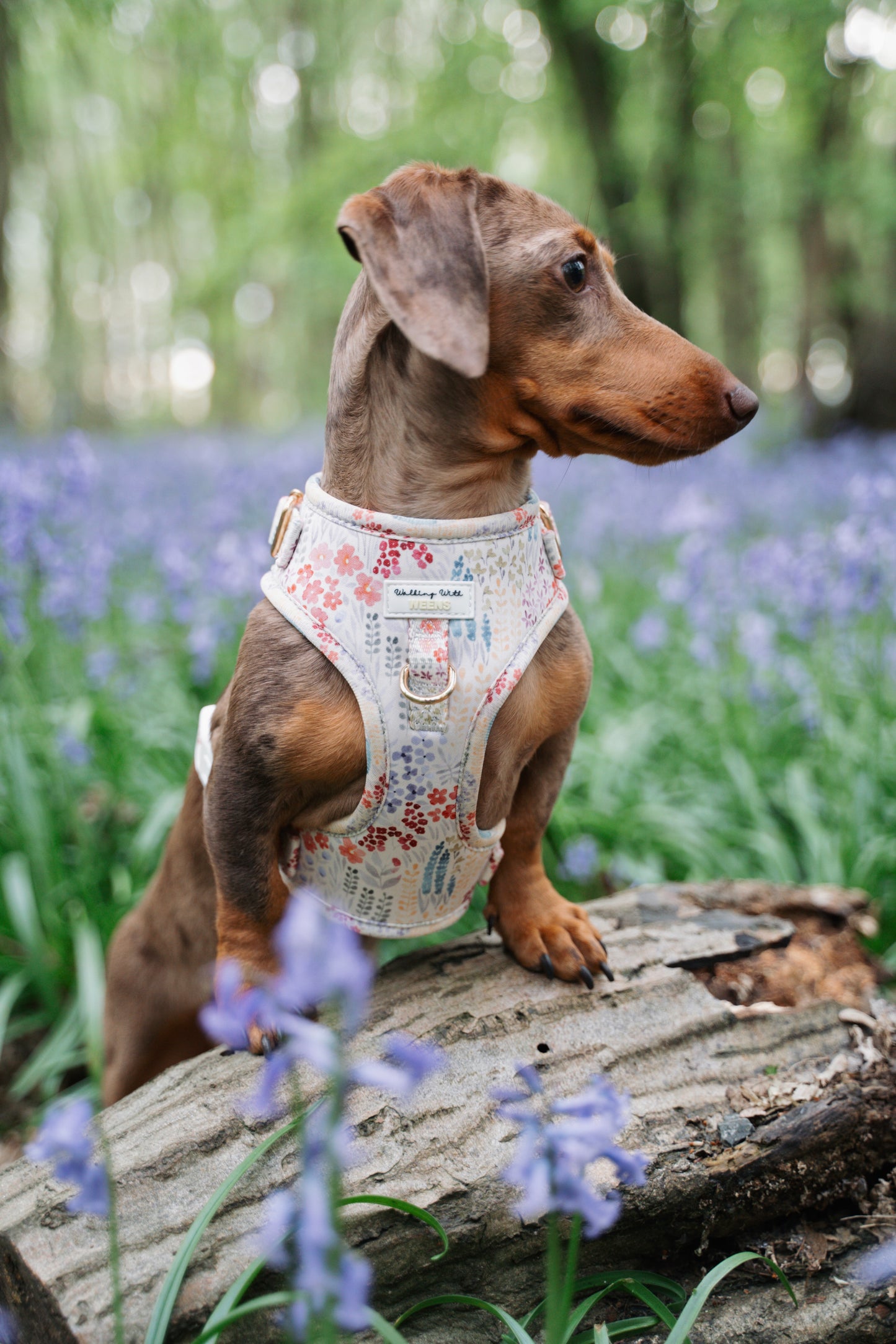 Fields Of Blossom - Adjustable Harness