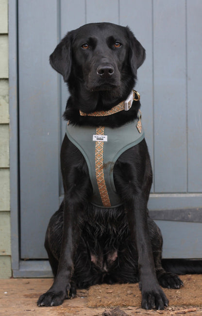 Klassic Khaki - Adjustable Harness