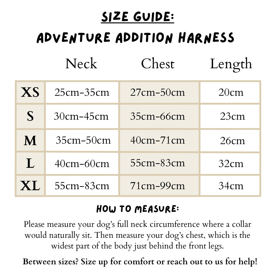 Magnolia Mist - Adventure Addition