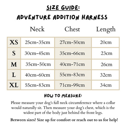 Magnolia Mist - Adventure Addition