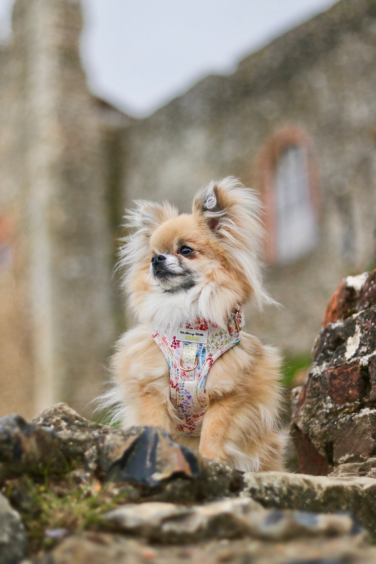 Fields Of Blossom - Adjustable Harness