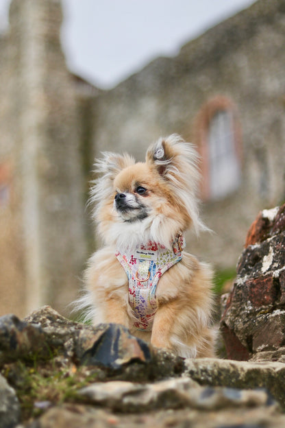 SECONDS - Fields Of Blossom - Adjustable Harness