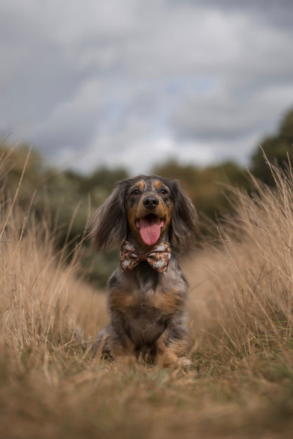 Autumn Acres - Bow Tie