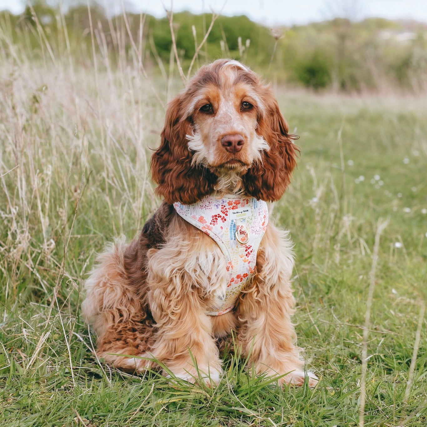 Fields Of Blossom - Adjustable Harness