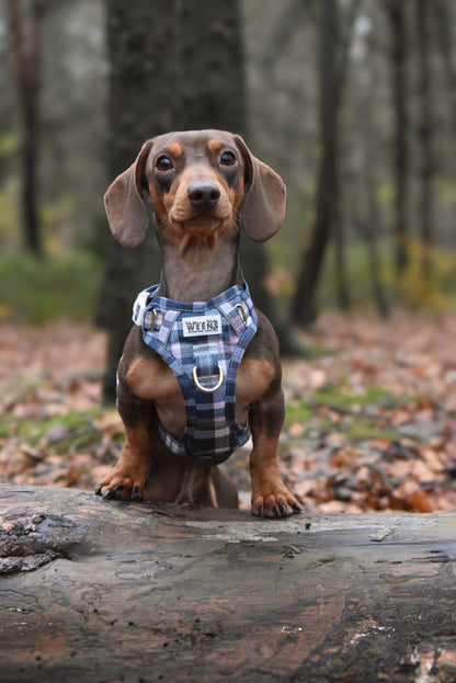 Frosted Flannel - Adventure Addition