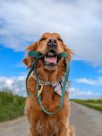 Teal Green - Waterproof Lead