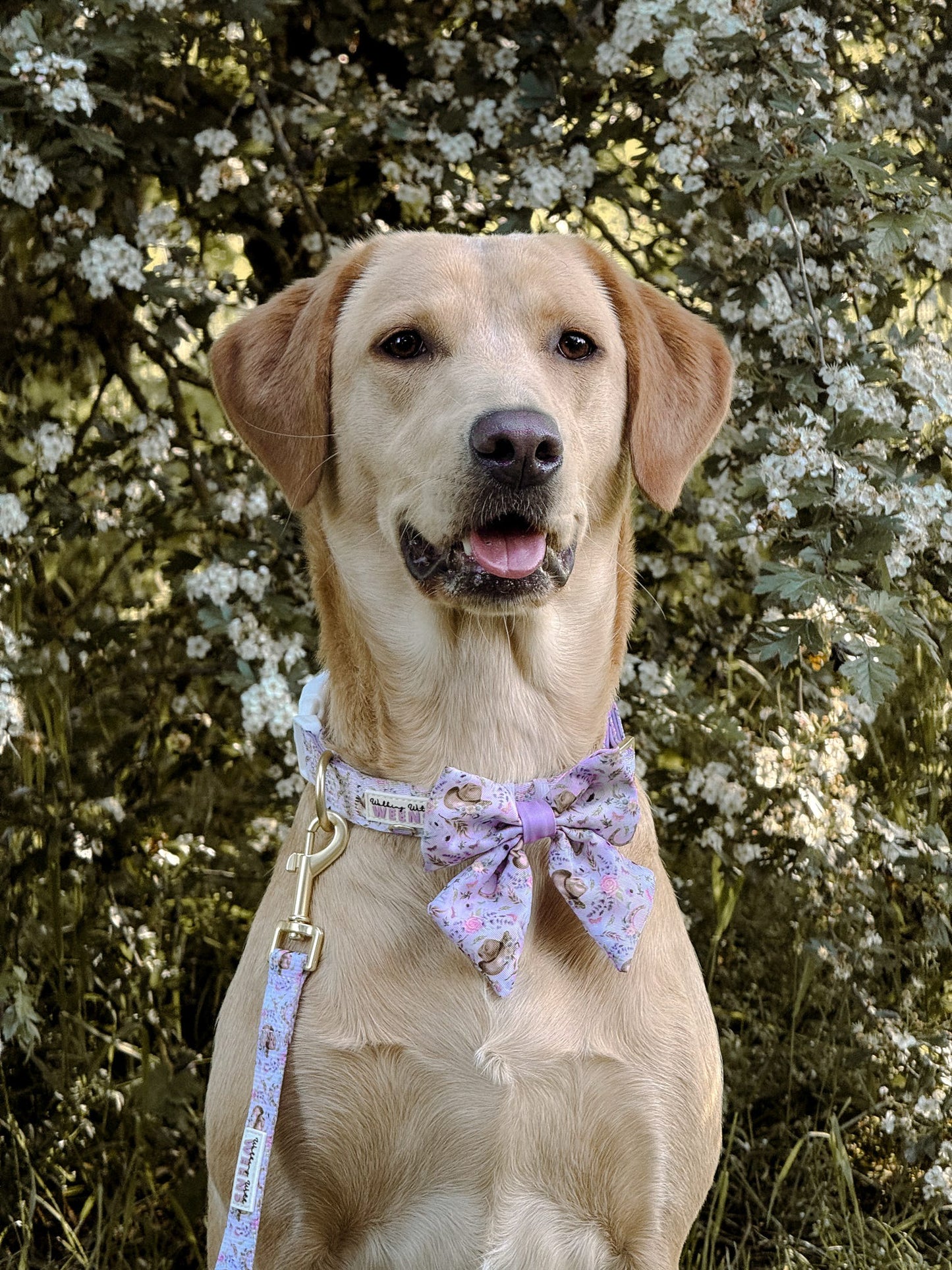 Western Wildflower - Sailor Bow