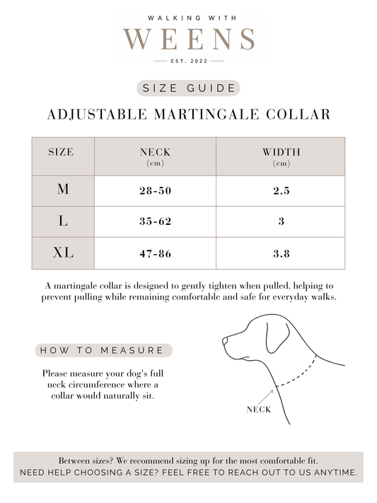 Blossom Bay - Martingale Collar