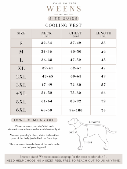 Magnolia Mist - Cooling Vest