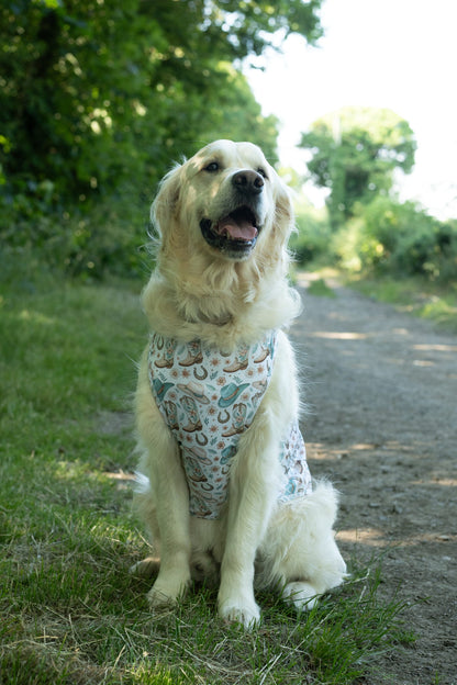 Cowboy Creek - Cooling Vest