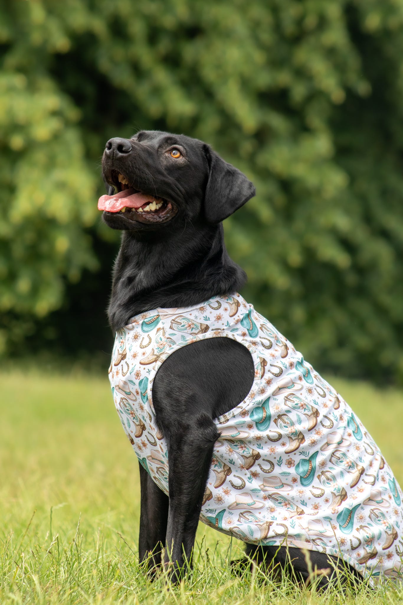 Cowboy Creek - Cooling Vest