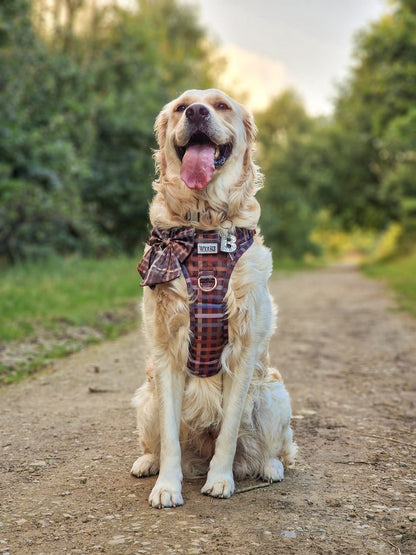 SECONDS - Paddington Plaid - Adventure Addition