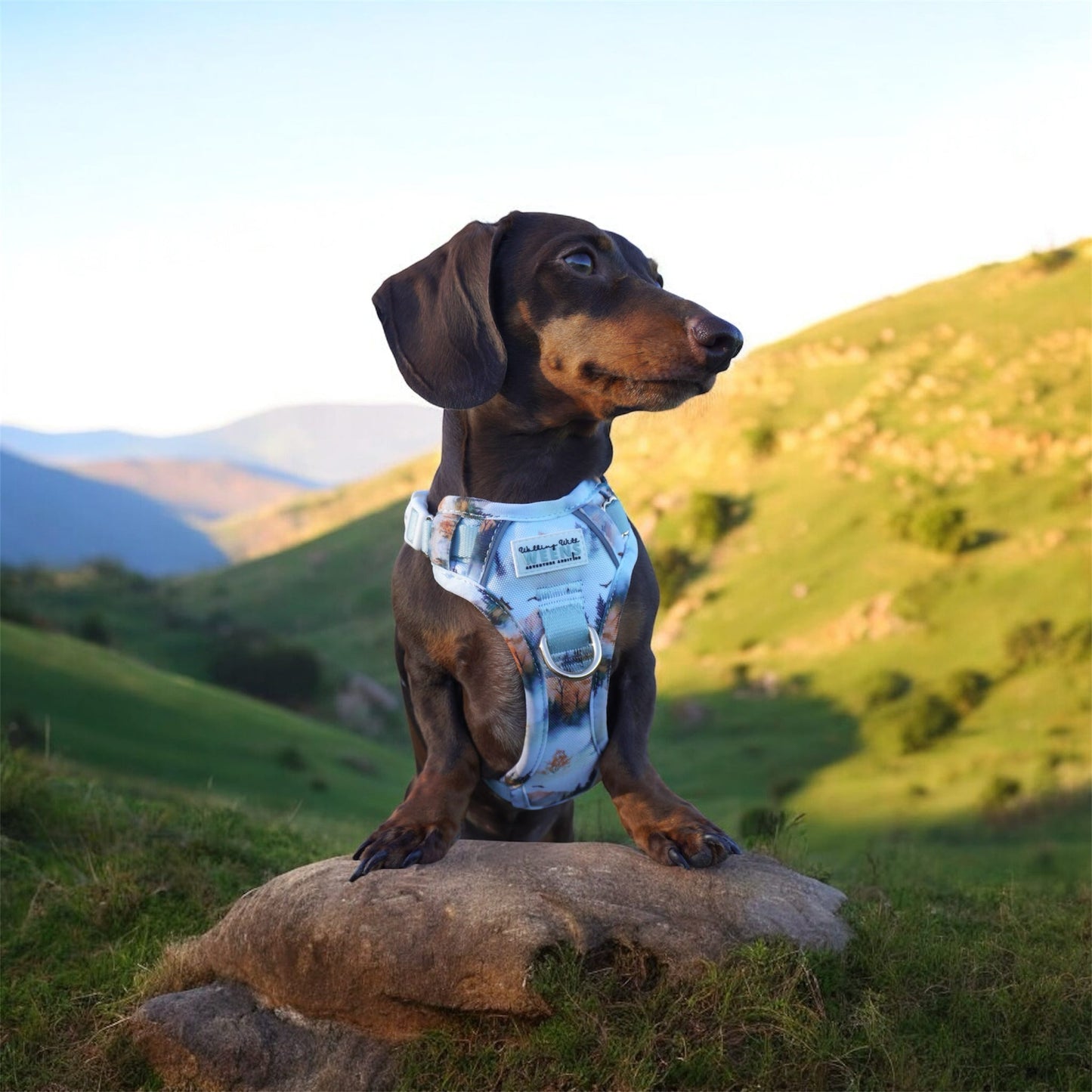 Pinewood Peaks - Adventure Addition