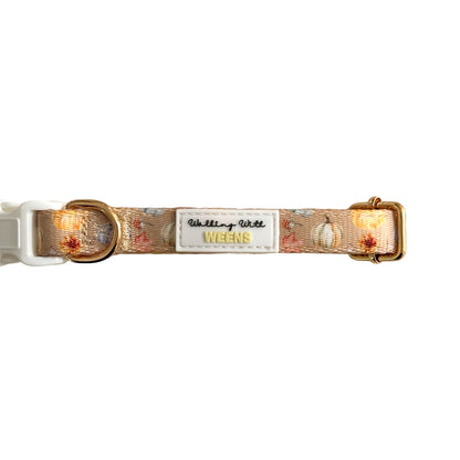 Harvest Hues - Collar