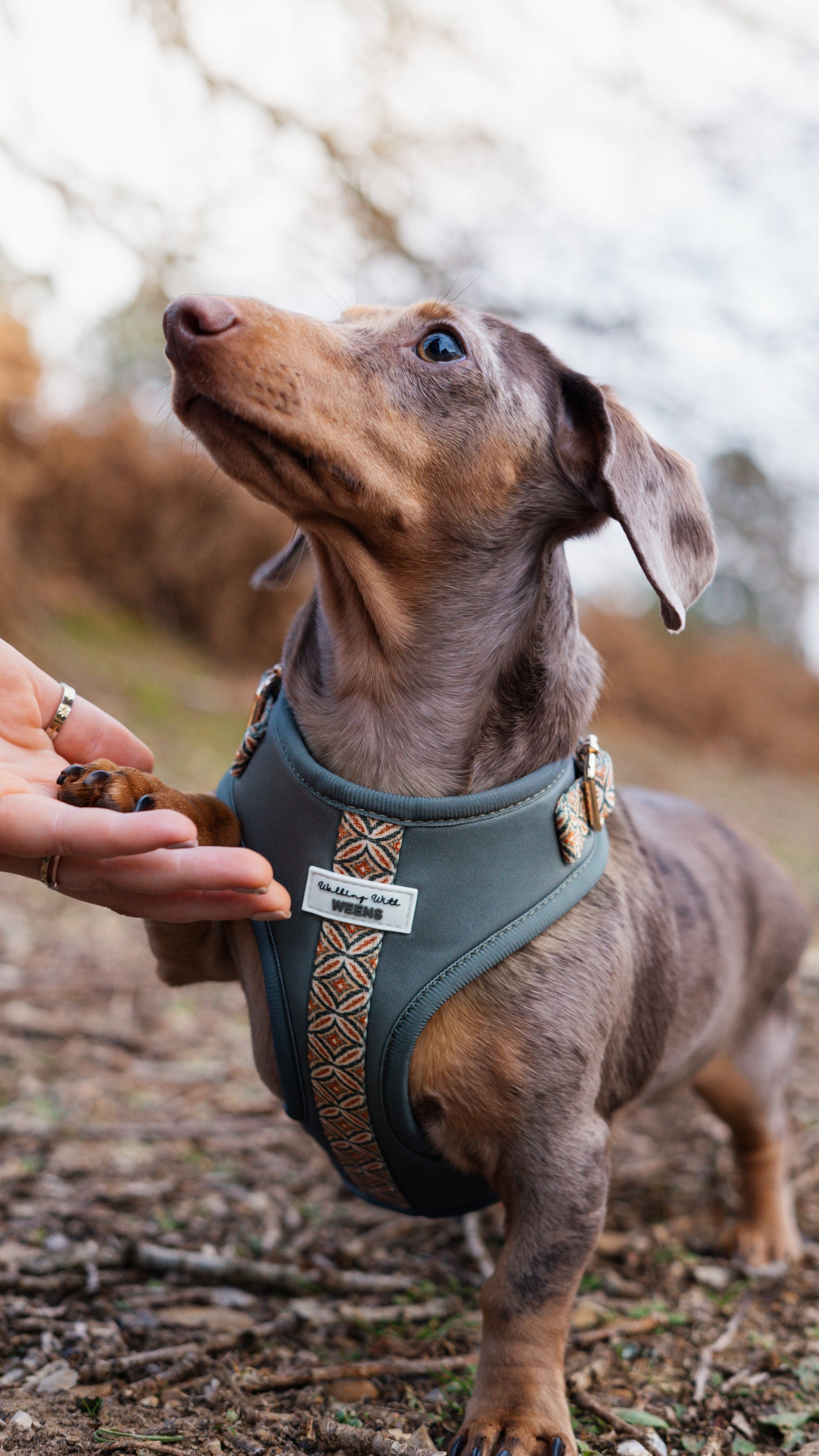 Klassic Khaki - Adjustable Harness