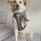 Klassic Khaki - Adjustable Harness