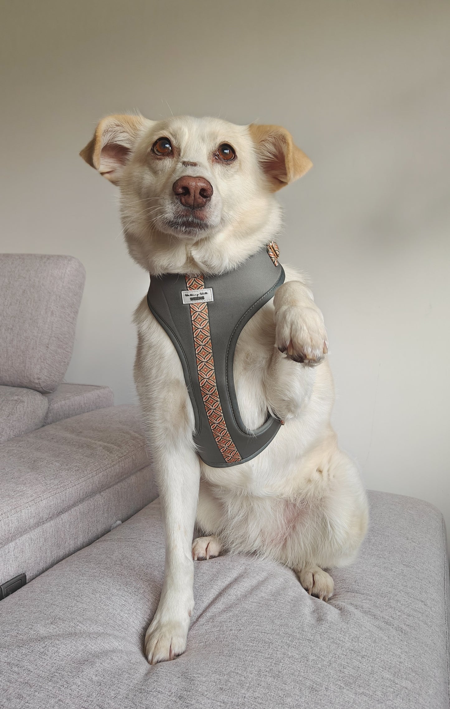 Klassic Khaki - Adjustable Harness