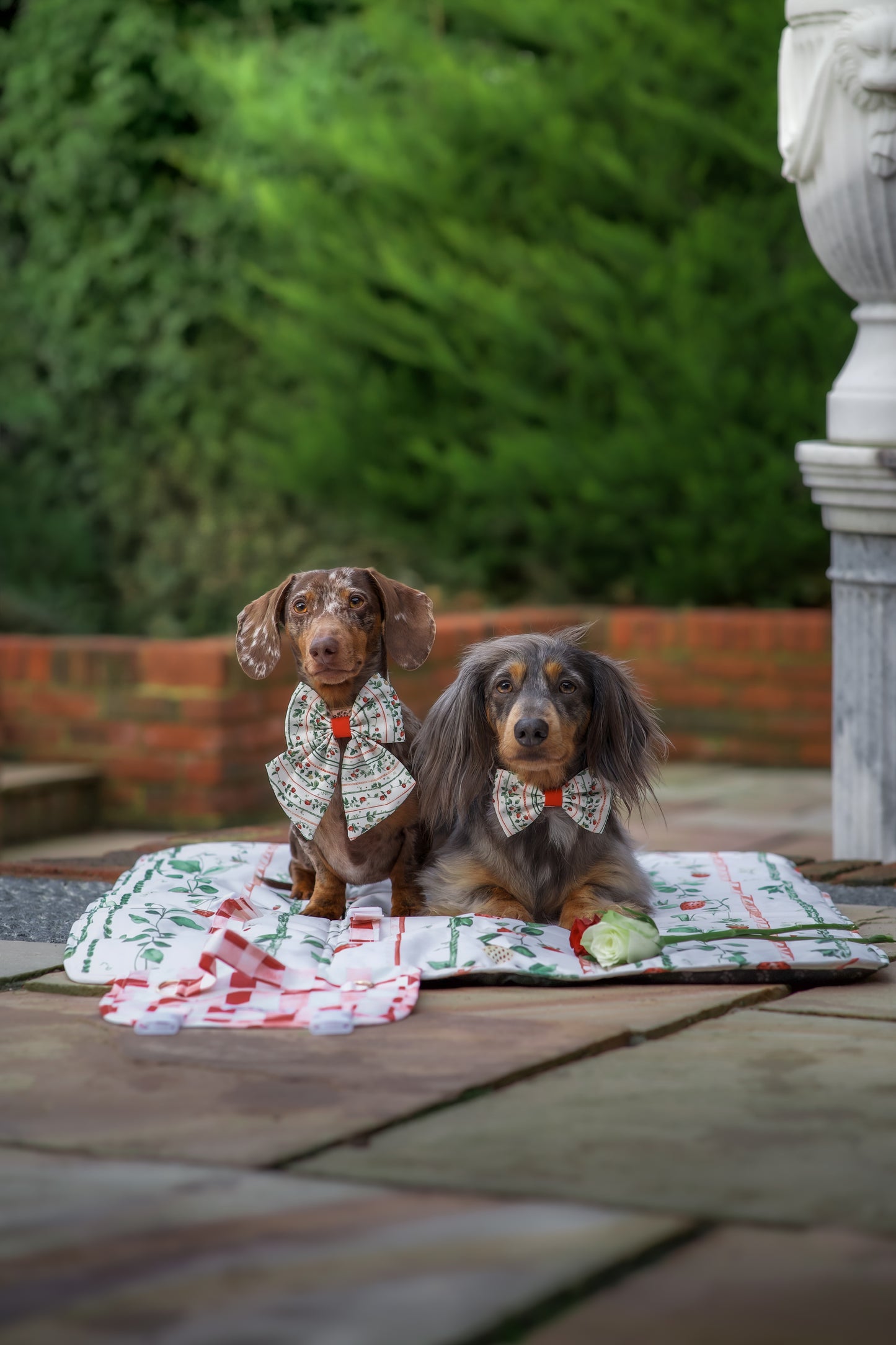 Berries and Bloom - Travel Mat