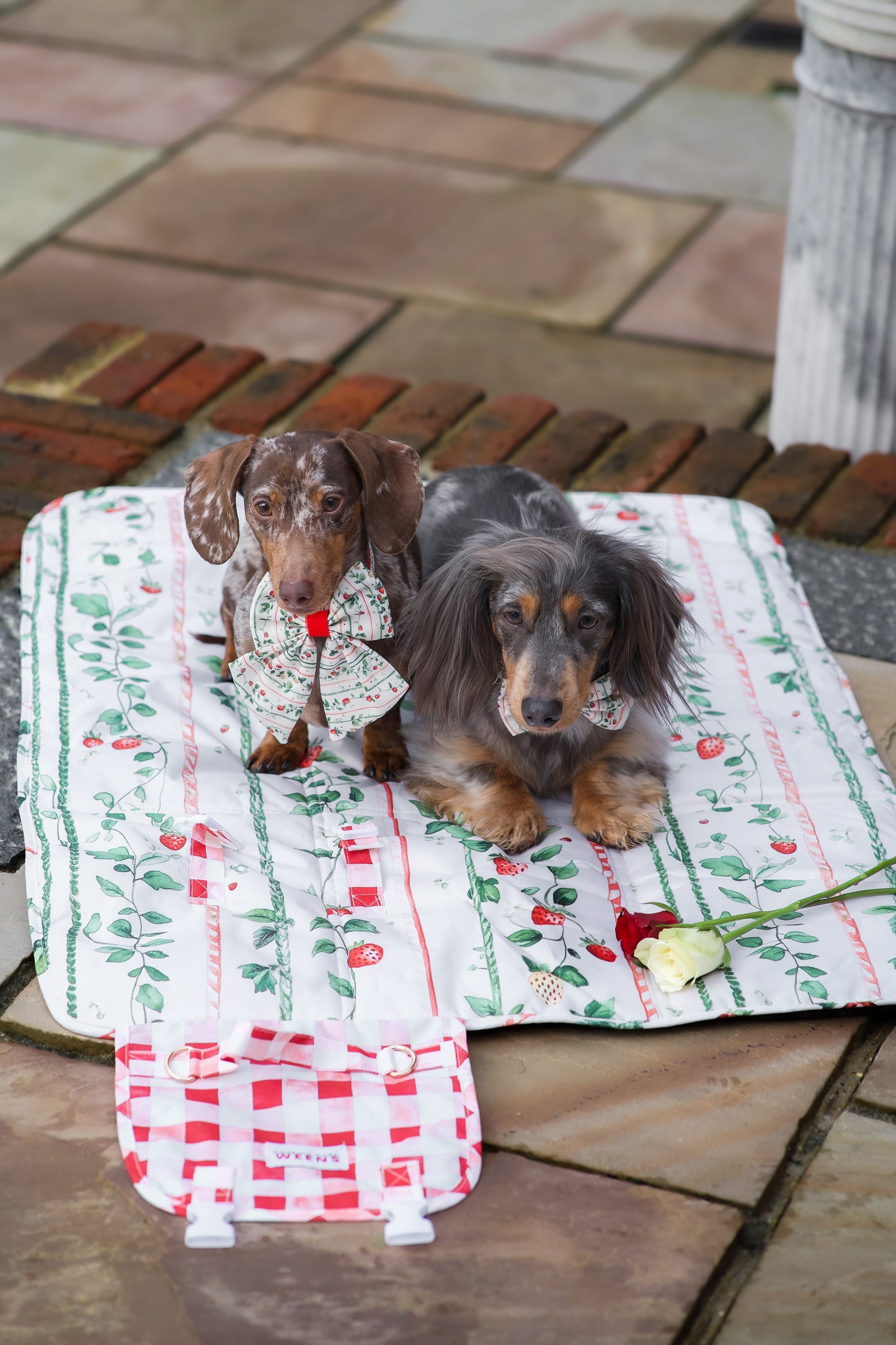 Berries and Bloom - Travel Mat