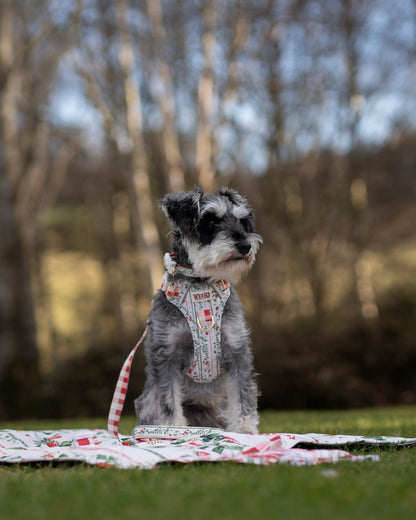Berries and Bloom - Travel Mat