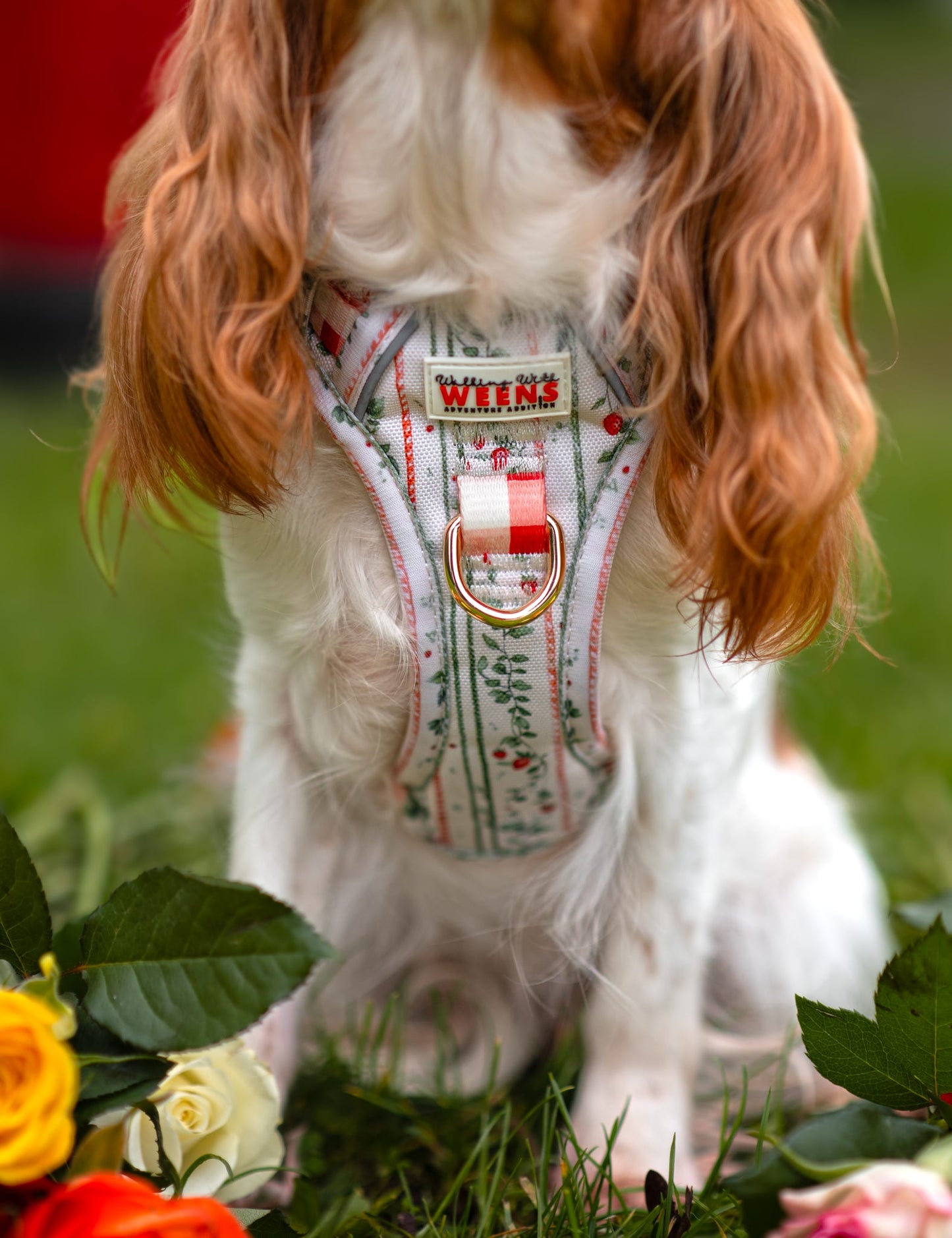 Berries and Bloom - Adventure Addition (See description)