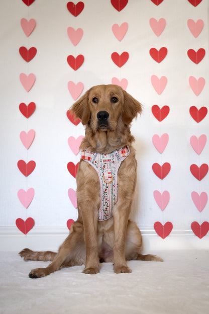 Berries and Bloom - Adventure Addition (See description)