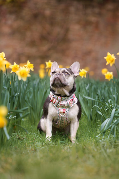 Berries and Bloom - Adventure Addition (See description)