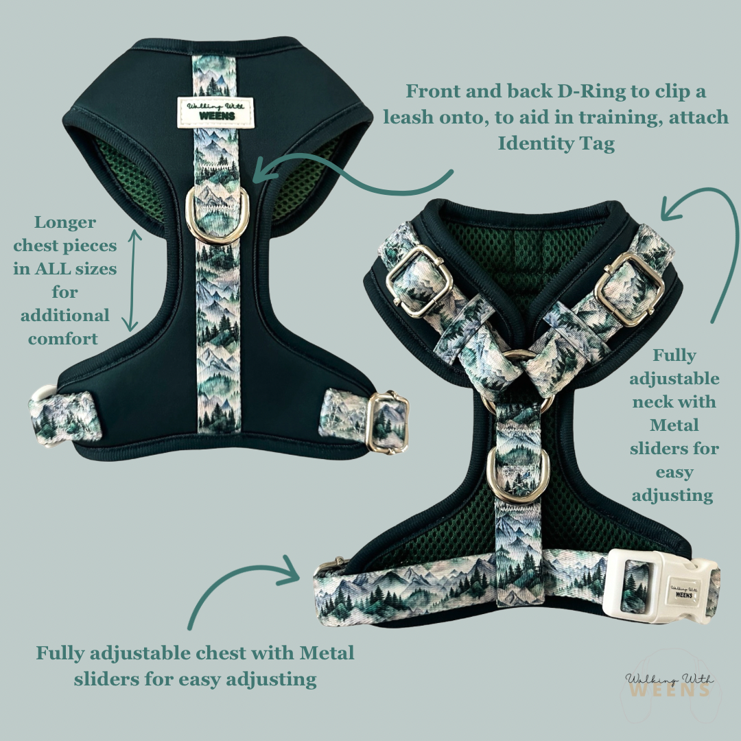 SECONDS - Hidden Highlands - Adjustable Harness