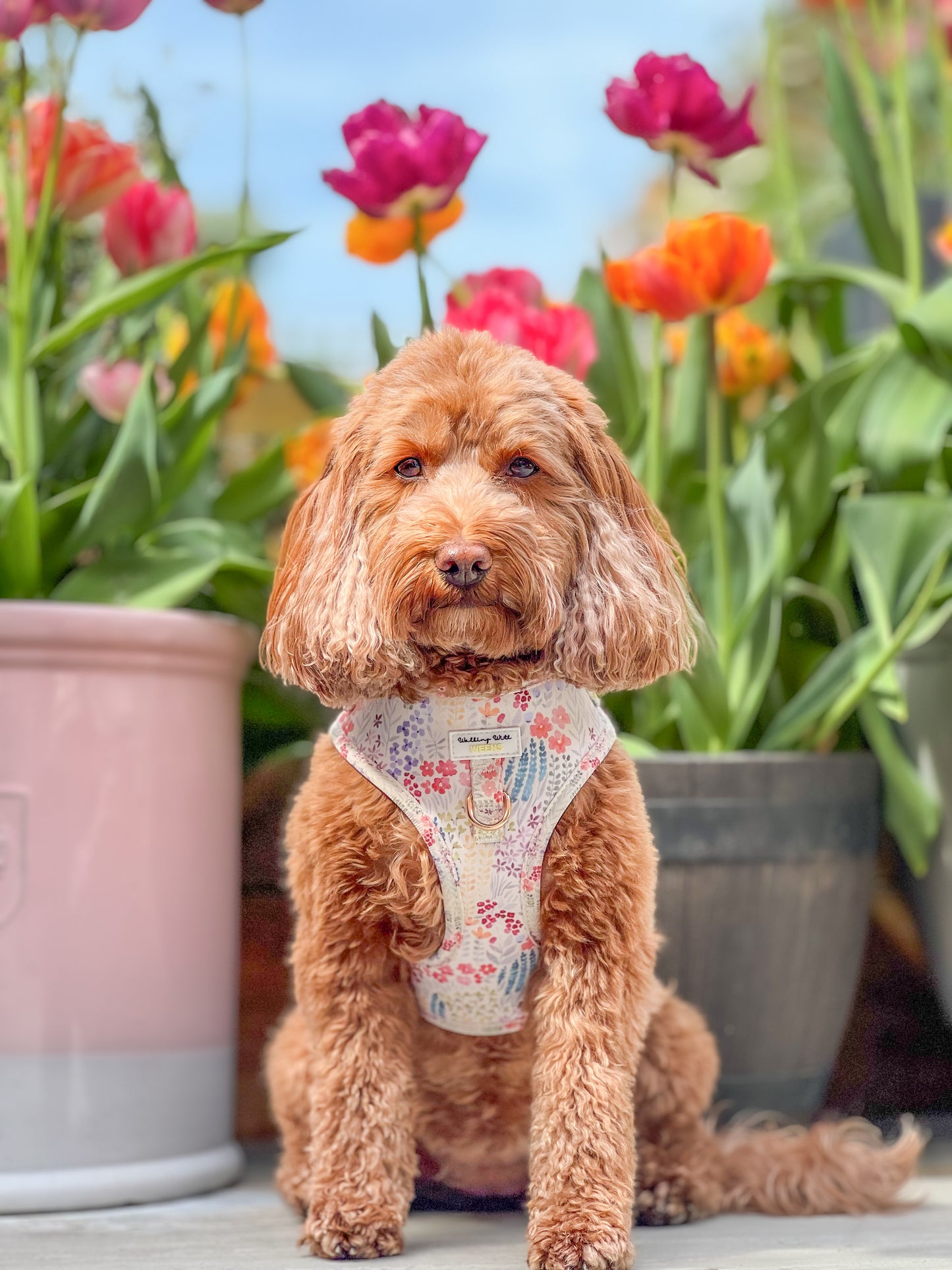 Fields Of Blossom - Adjustable Harness