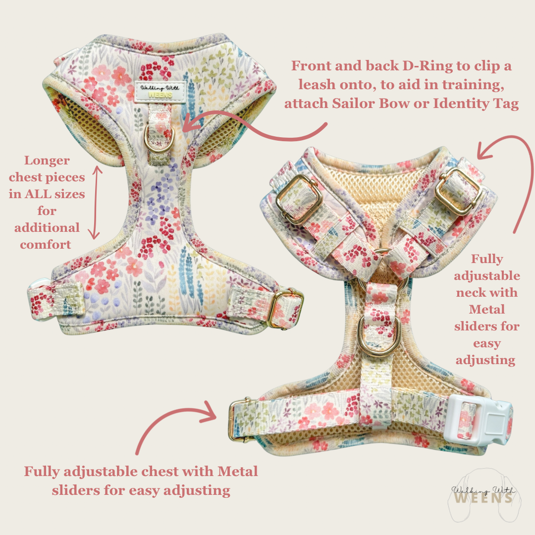 Fields Of Blossom - Adjustable Harness