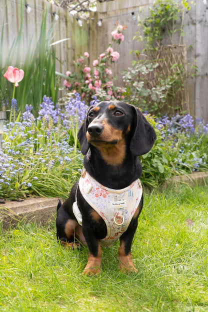 SECONDS - Fields Of Blossom - Adjustable Harness