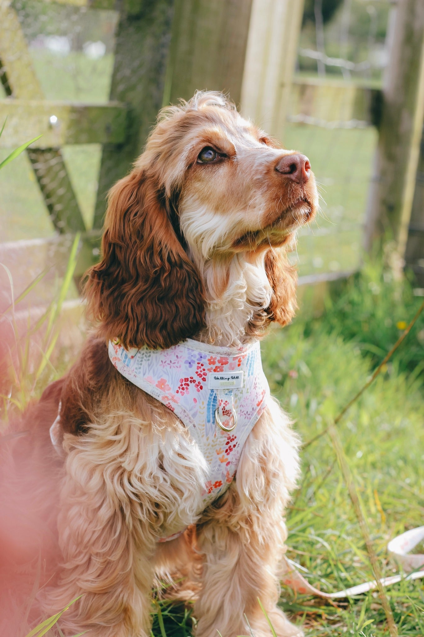 Fields Of Blossom - Adjustable Harness