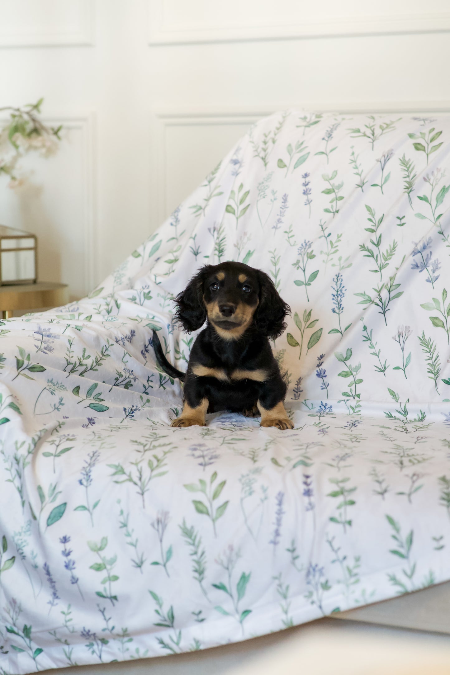 Sage Springs - Snuggle Sized Blanket