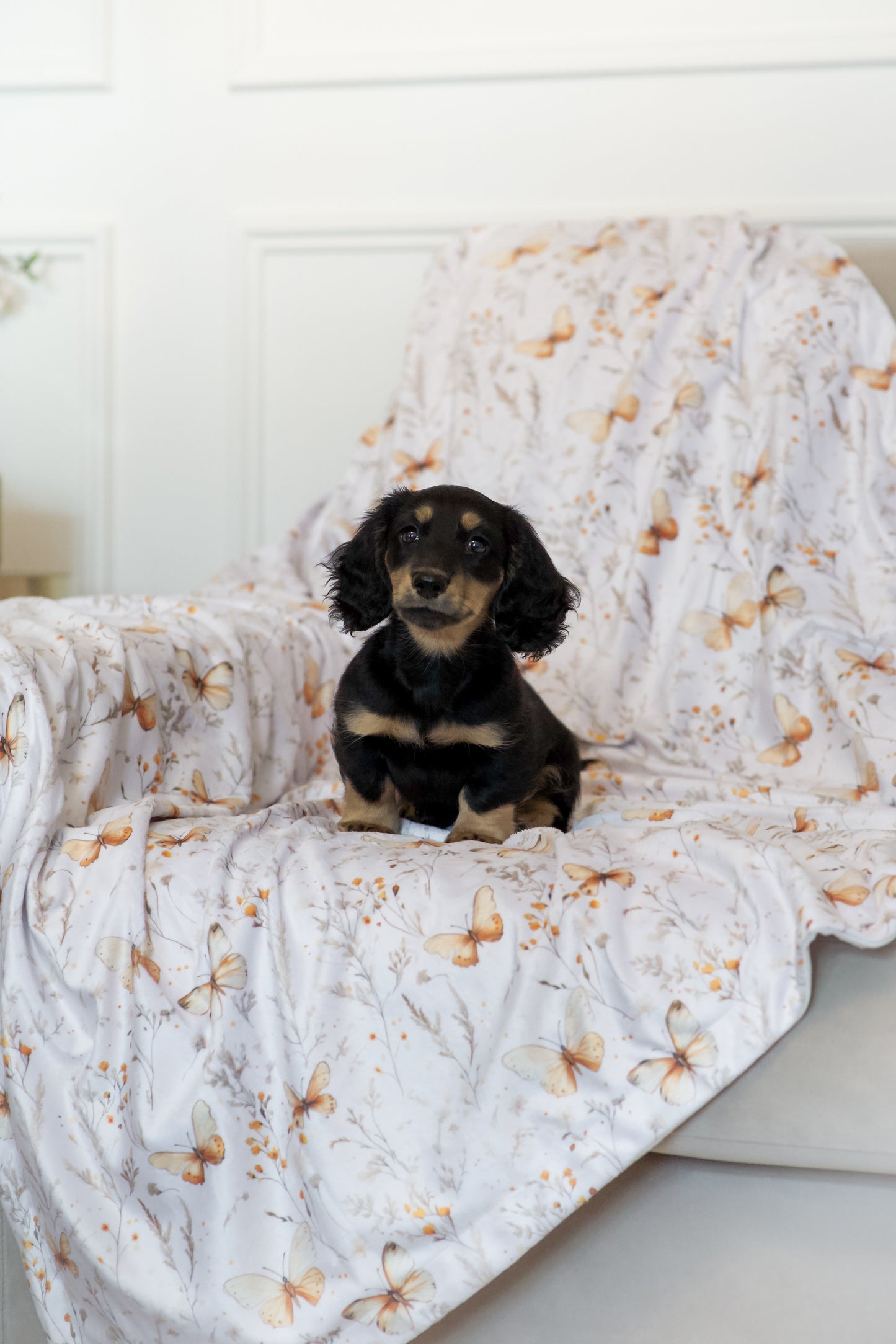Butterfly Bloom - Snuggle Sized Blanket